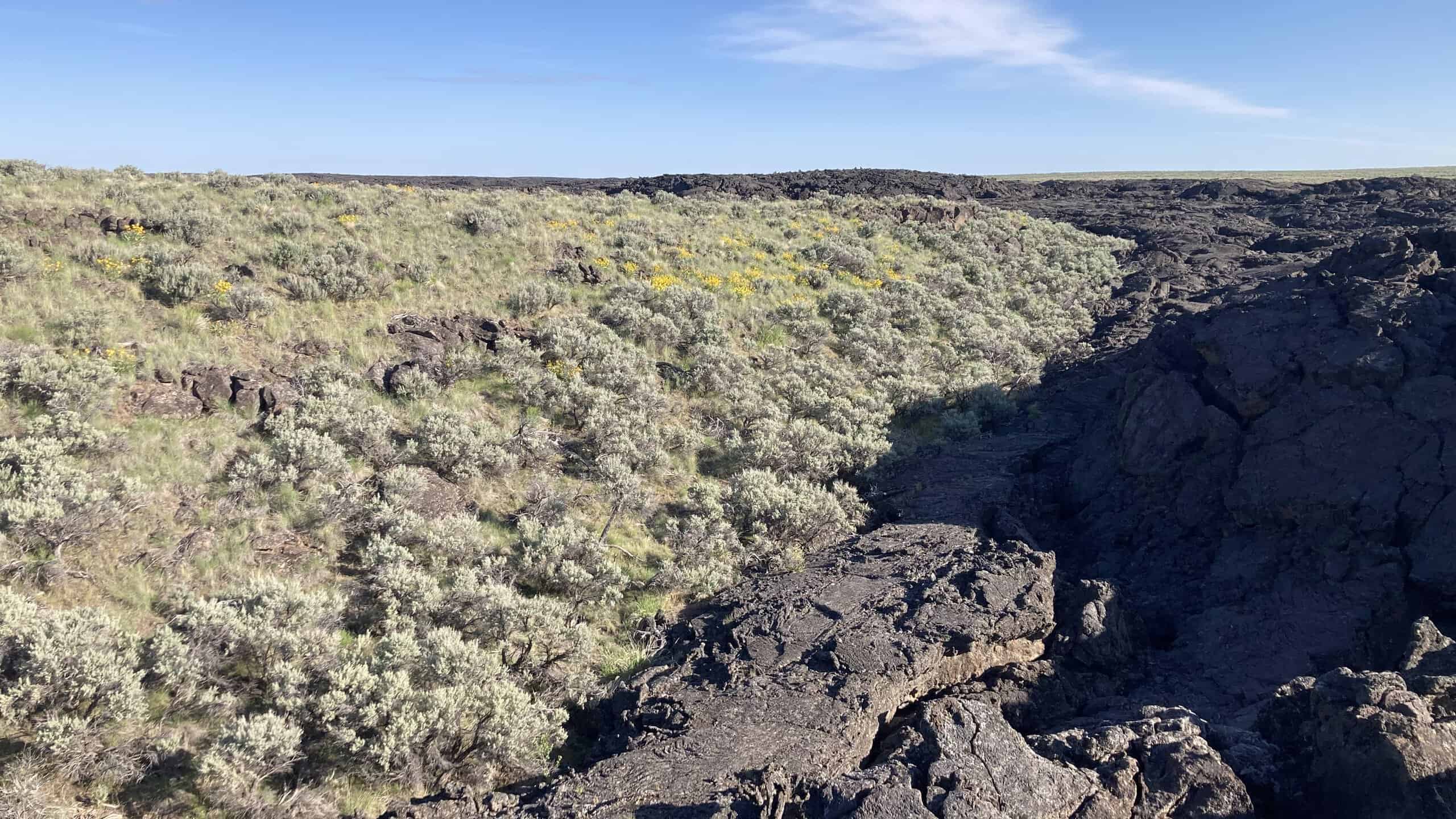 kipuka are islands of vegetation surrounded by lava