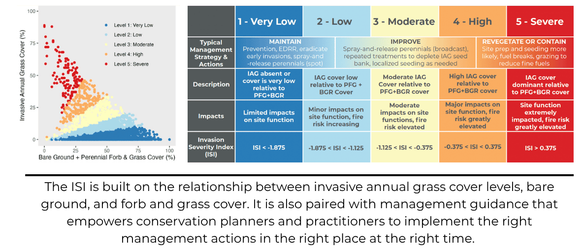 Figure showing how the ISI analyzes IAG cover, bare ground, and perennial grass and forb cover and a tbale showing severity indices with management options.