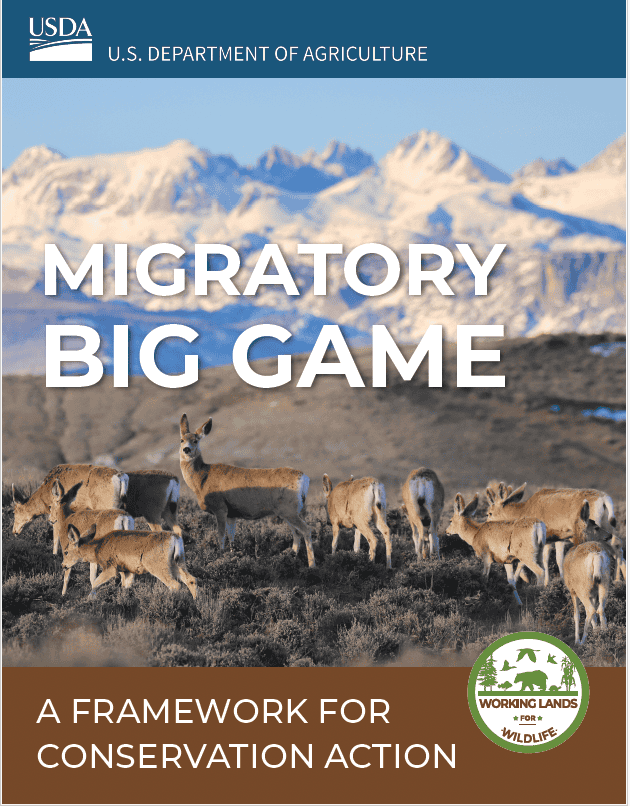 Cover of framework