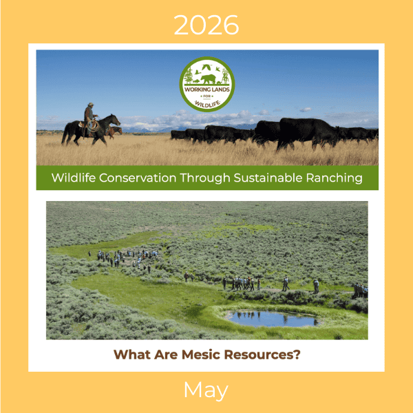 May 2026