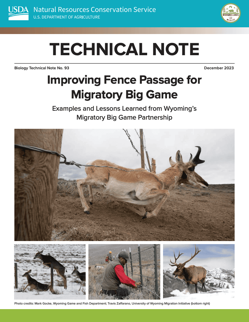 cover image of the technical note