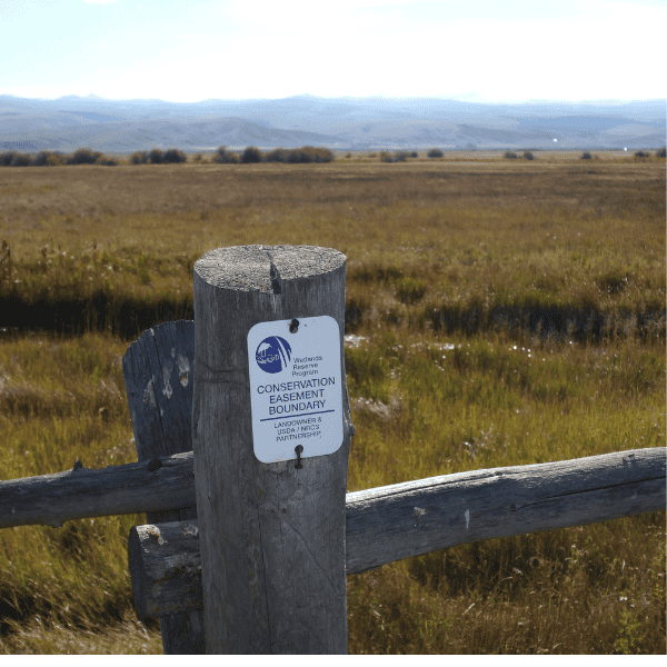 easement2