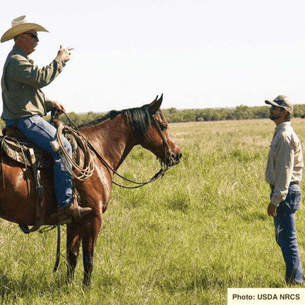 Texas rancher talking to USDA NRCS